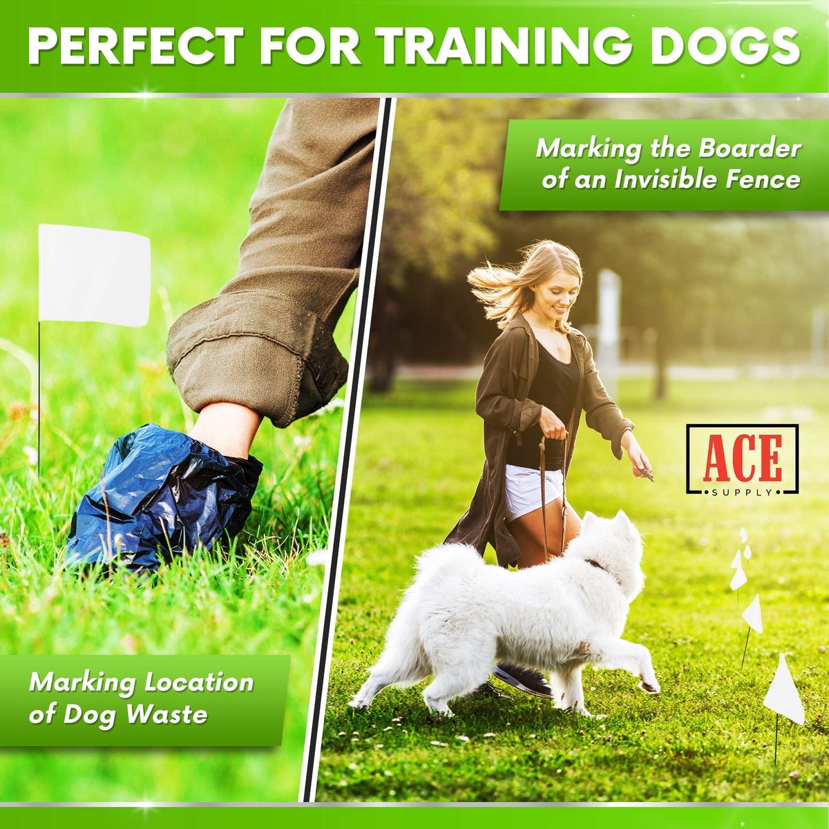 ACE Supply dog boundary flags support underground fence training and pet safety.