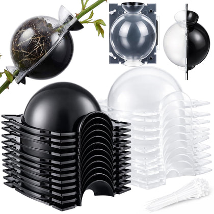 Acellegic air-layering kit 50pc pack for easy multi-plant setup