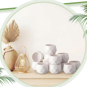 Acellegic small pineapple planter enhances office corners and shelves.
