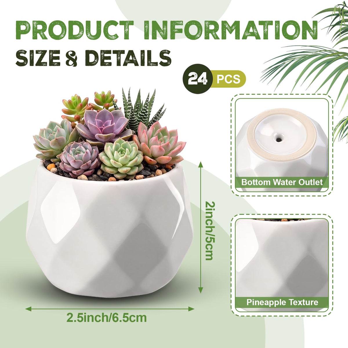 Acellegic pineapple-shaped pot with drain holes for tidy windowsill displays.