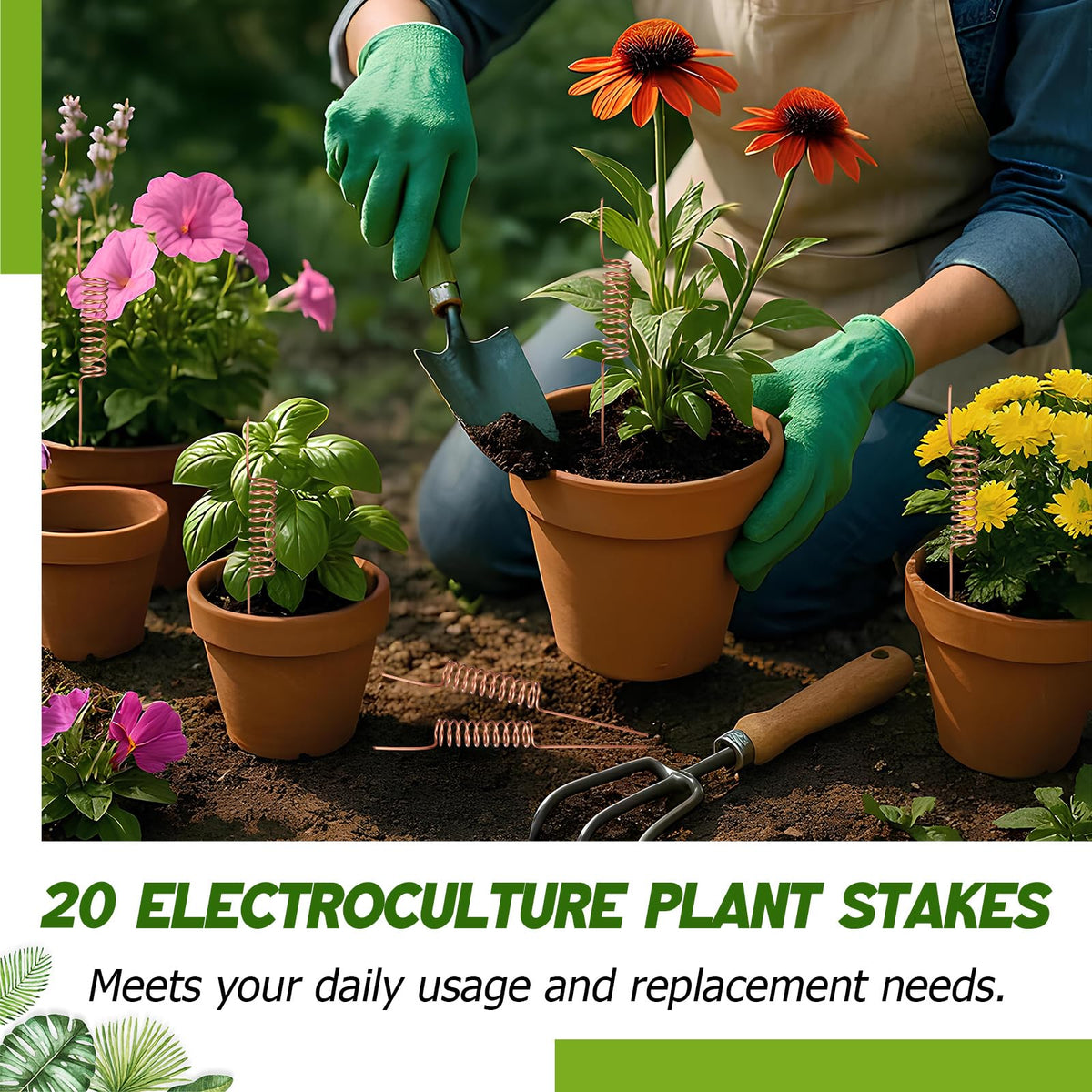 Acellegic garden setup with stakes shows versatile placement