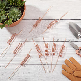 Acellegic gardener placing stakes to support healthy plants