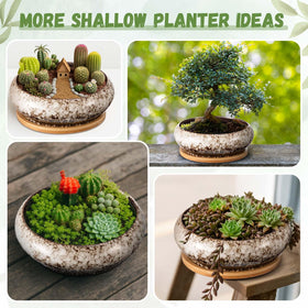 Indoor-outdoor versatility: Acellegic planters shown on balcony ledge