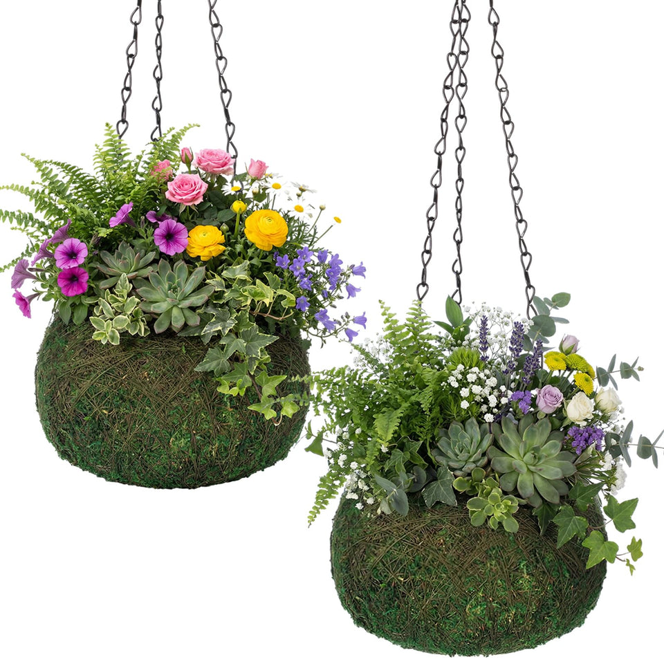 Acellegic kokedama moss ball hanging pot, compact 6-inch planter for indoor spaces