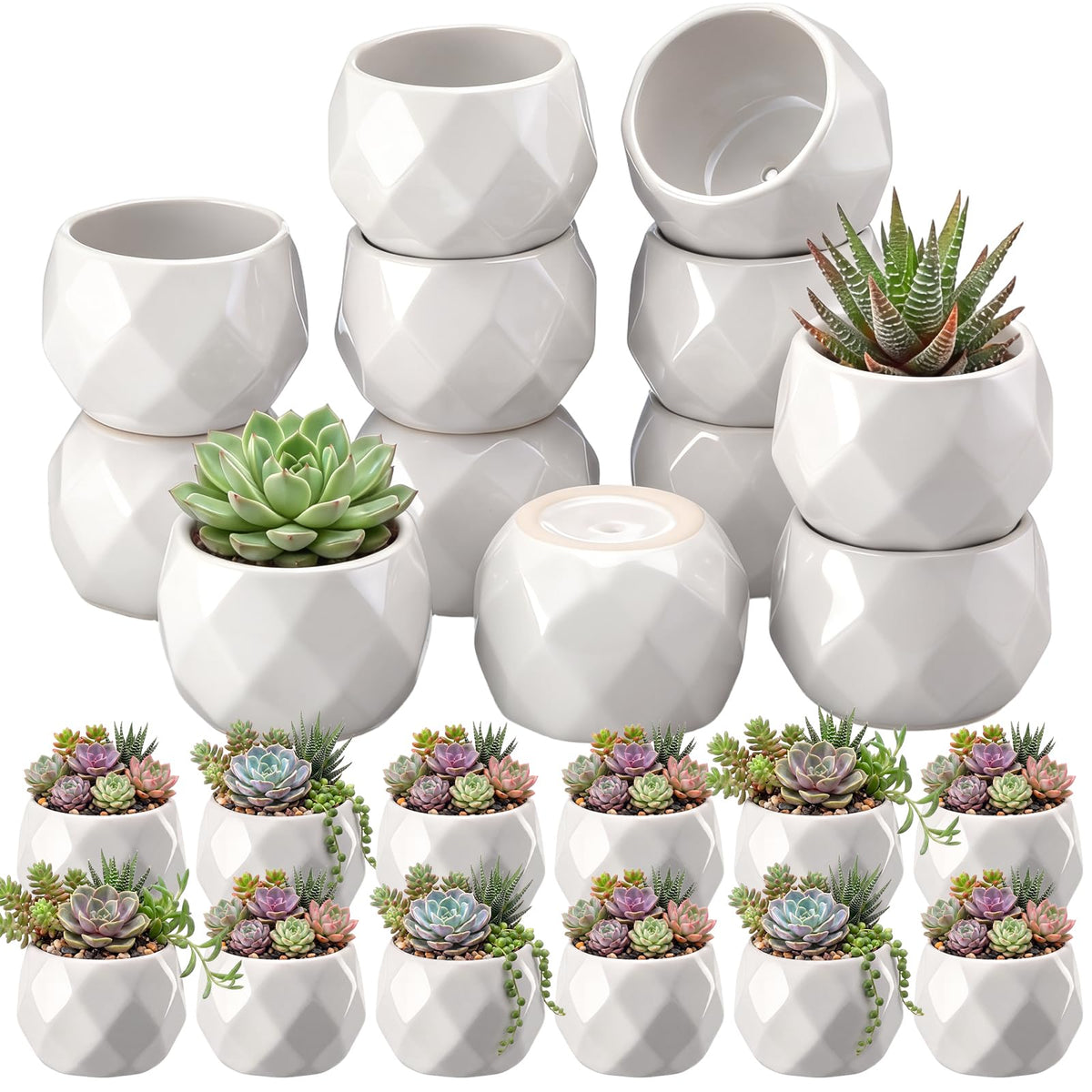 Acellegic mini pineapple pot in white ceramic with drainage for succulents.