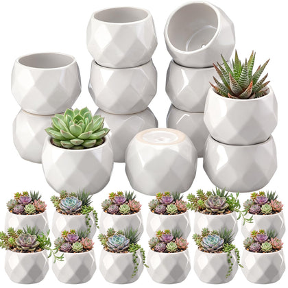 Acellegic mini pineapple pot in white ceramic with drainage for succulents.