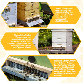 Acellegic natural wood finish enhances outdoor beekeeping aesthetics