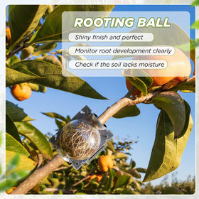 Acellegic plastic grafting ball is durable and weather-resistant