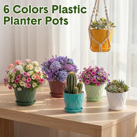 Acellegic 4-inch pot with drainage holes promotes healthy roots for herbs.