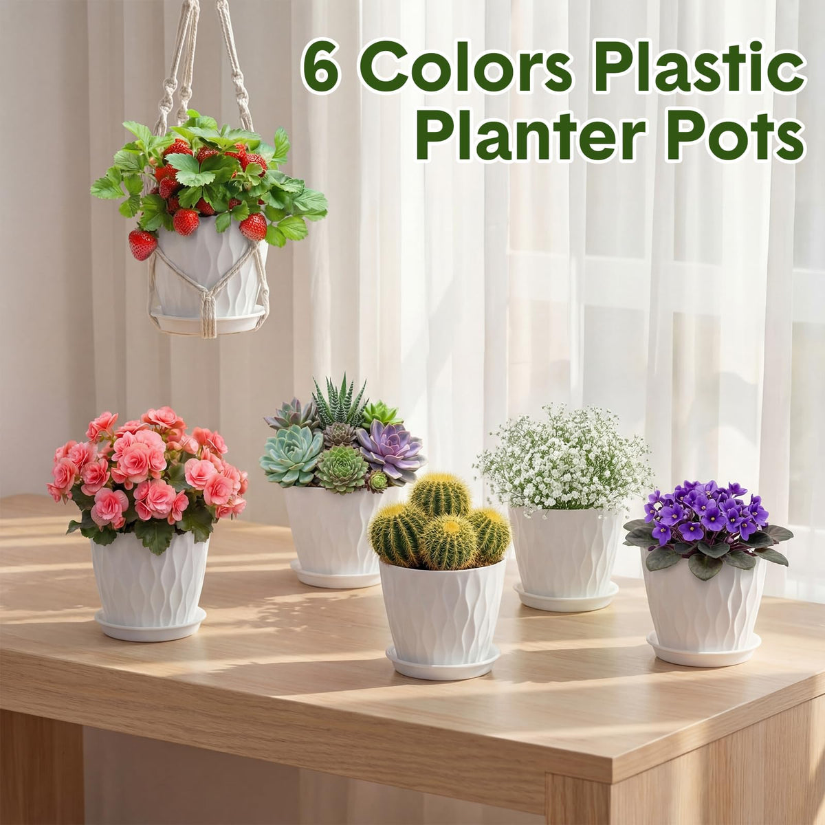 Acellegic pots for seed starting and organizing greens and herbs