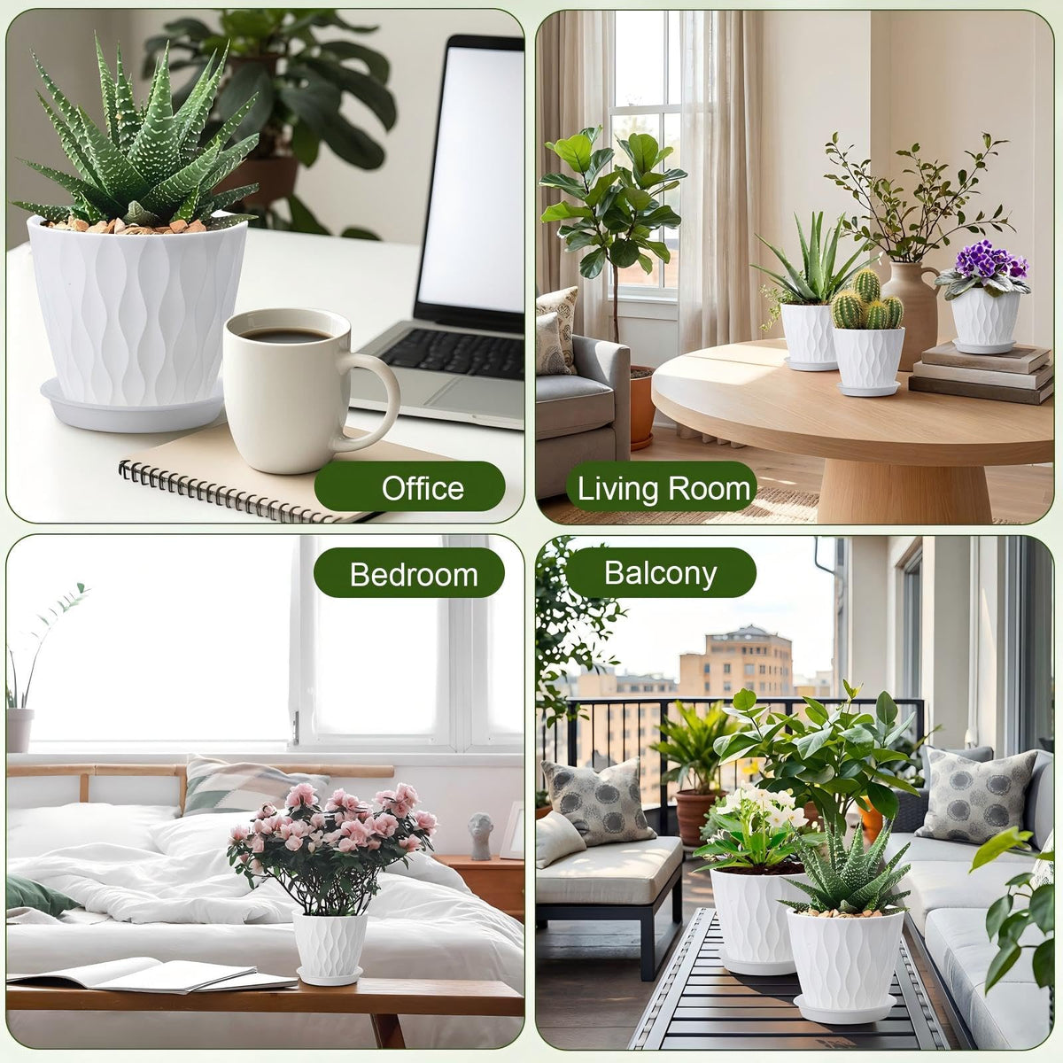 Acellegic succulent and herb pots promote neat displays with drainage