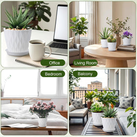 Acellegic succulent and herb pots promote neat displays with drainage