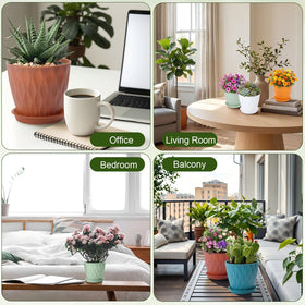 Acellegic small plant pot set helps beginners organize seedlings.