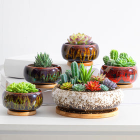 Acellegic 7.3-inch succulent planter with drainage holes and bamboo tray for neat indoor gardening