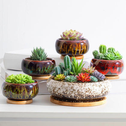 Acellegic 7.3-inch succulent planter with drainage holes and bamboo tray for neat indoor gardening