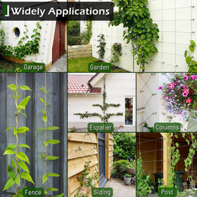 Acemaker trellis in a garden promoting airflow and plant health