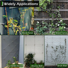 Acemaker trellis with 1-inch wall gap, promoting airflow and reduced moisture
