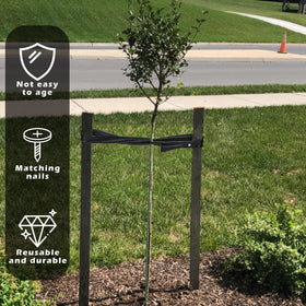 AceOrbit self-locking straps simplify tree stabilization
