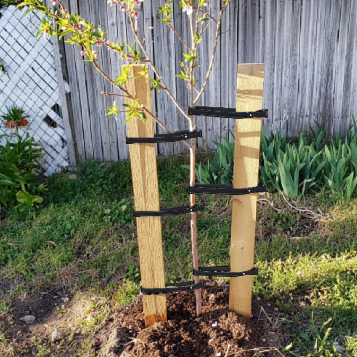 AceOrbit setup in garden shows versatile tying options
