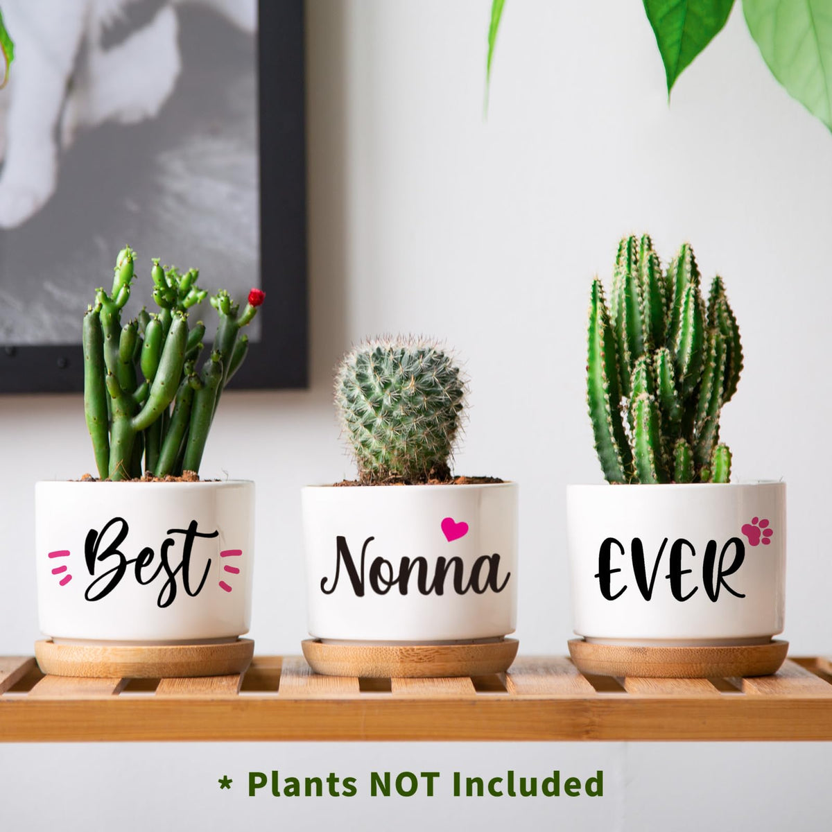 AceThrills Bamboo tray complements succulent pots for organized desktop or windowsill display.