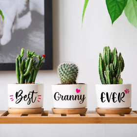 AceThrills pot engraved Best Granny Ever for a heartfelt keepsake