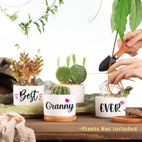 AceThrills pot shows plants are not included for Granny customization