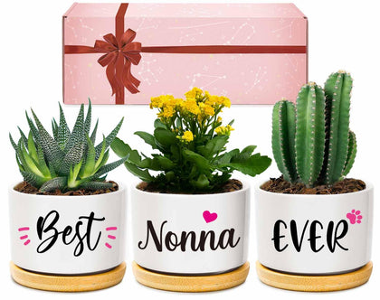 AceThrills Nonna gifts succulent pots 3-piece set enhances gift-giving with enduring style.