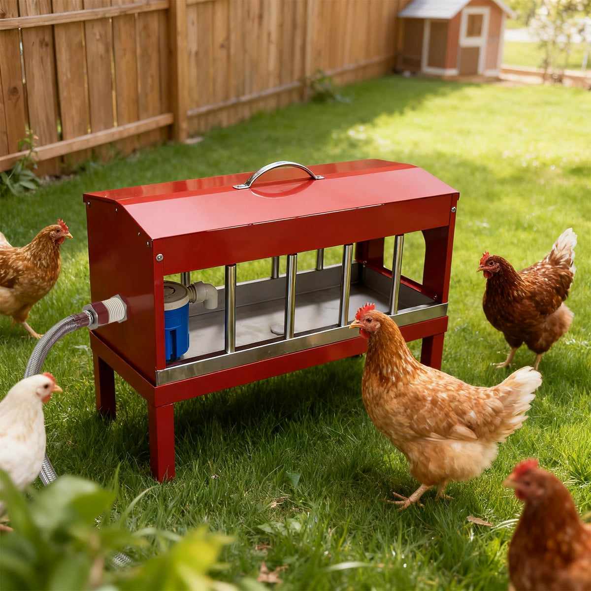 Achicklead stainless-steel-water-dispenser offers durable, easy-clean reliability for daily poultry watering.