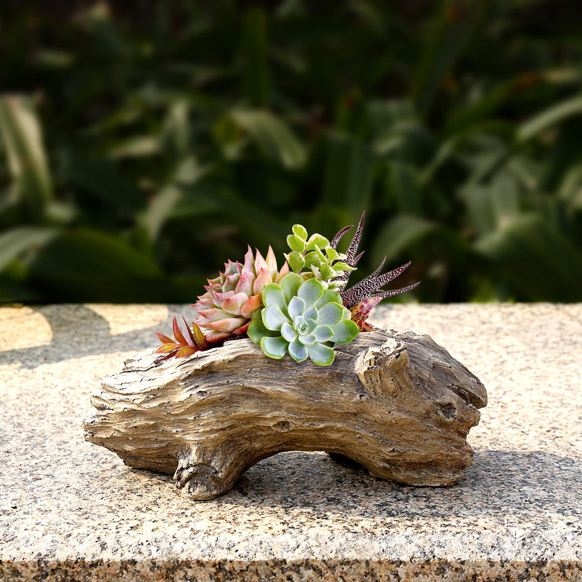 Aclema compact planter size fits shelves, balconies, and desktops.