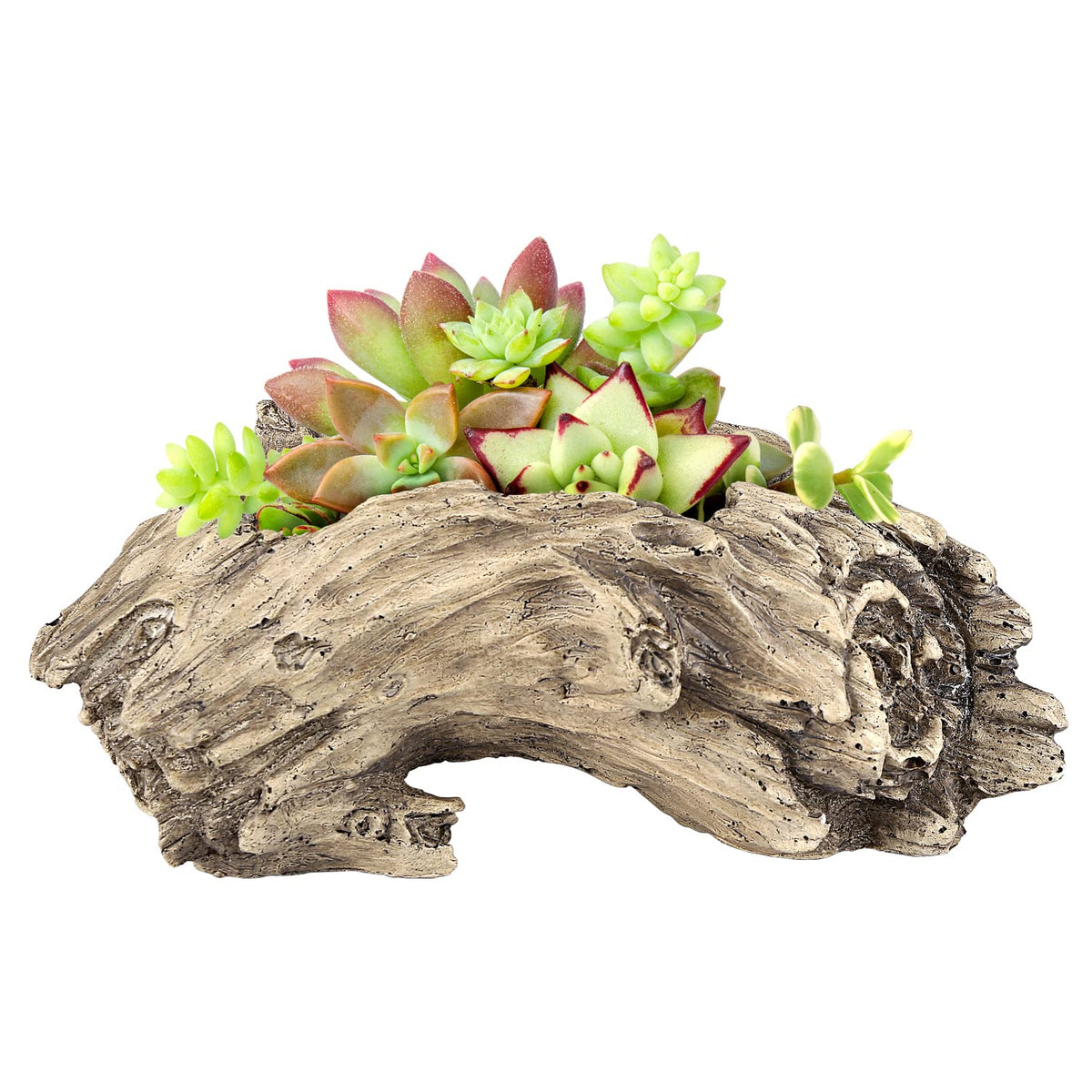 Aclema driftwood planter close-up shows sturdy resin construction.