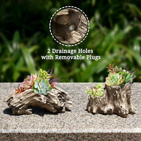 Aclema gift idea planter for gardening enthusiasts.