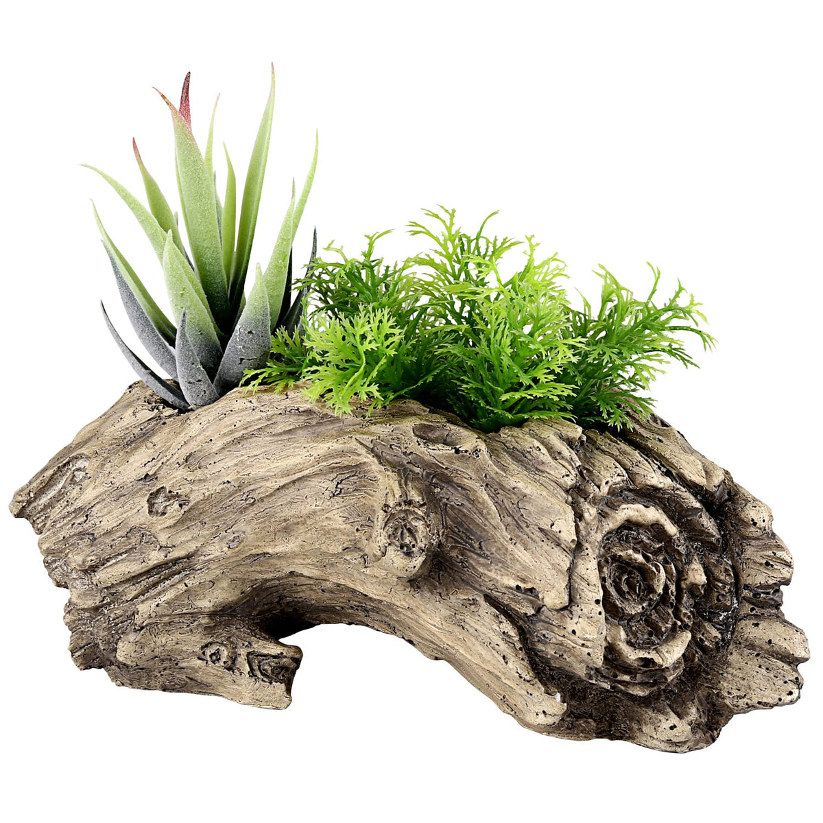 Aclema stump-shape planter highlights unique decorative style.