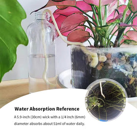 Acoeitl wick immersed end delivers water to the plant roots.