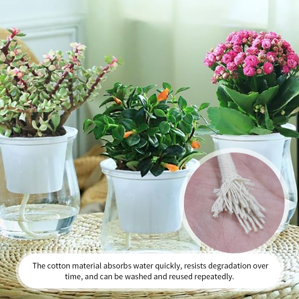 Acoeitl wick in vacation setup, ideal for away plant care.