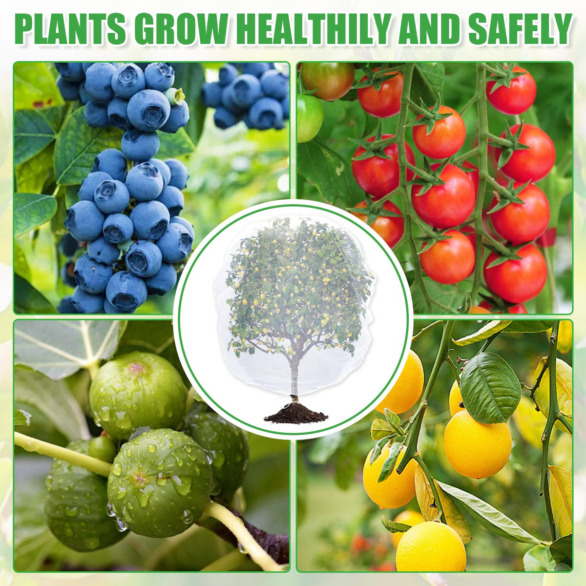 Acostop blueberry-strawberry netting protects berries during ripening