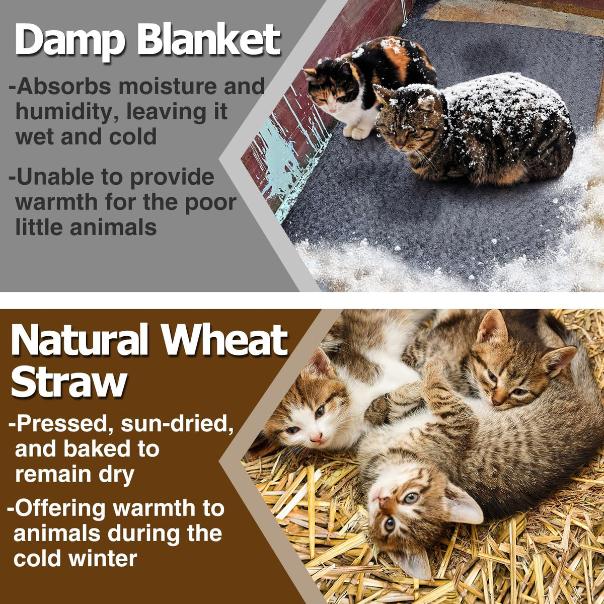 Acostop decorative wheat straw for crafts and displays adds rustic charm