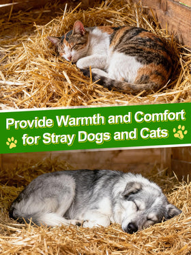 Acostop wheat straw protective bedding for pets is clean and safe