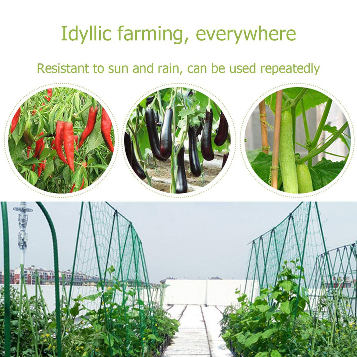 Acronde nylon plant netting helps tomatoes climb while promoting airflow and sun exposure.