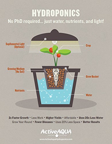 Active Aqua inline-or-submersible option supports ponds, fountains, hydroponics