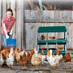 ActiveTrail galvanized steel construction withstands weather while protecting hens.