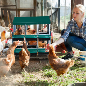 ActiveTrail nesting boxes on legs provide stable placement in outdoor coops.