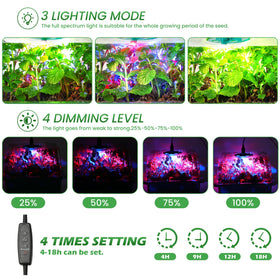 Adawook humidity control domes help maintain optimal moisture for steady sprouting.