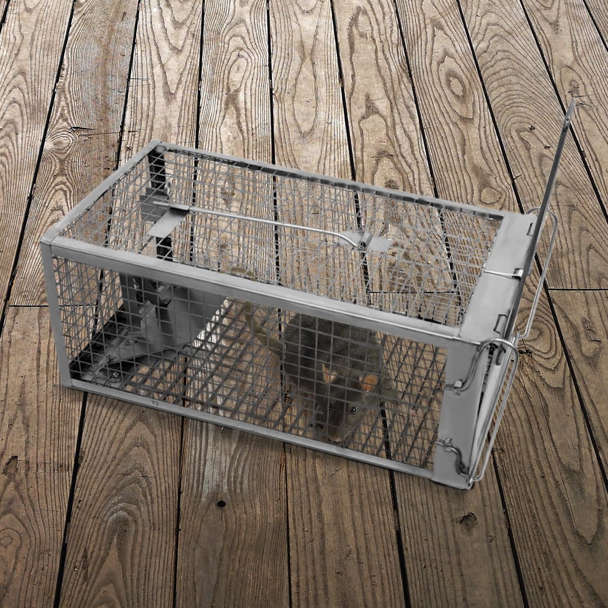 ADERFIA Catch-and-release rodent trap ready for humane release.
