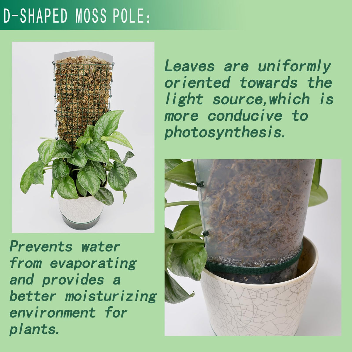 ADGYULB DIY kit allows customization to fit your pot size and plant height.