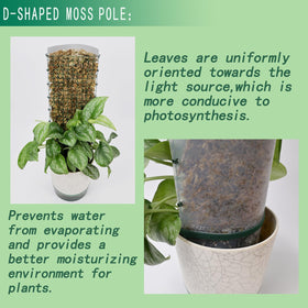 ADGYULB DIY kit allows customization to fit your pot size and plant height.