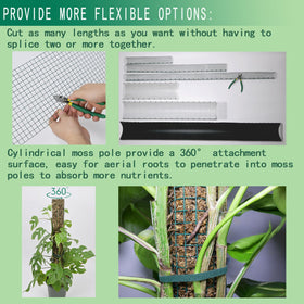 ADGYULB breathable moss environment supports healthier root development.