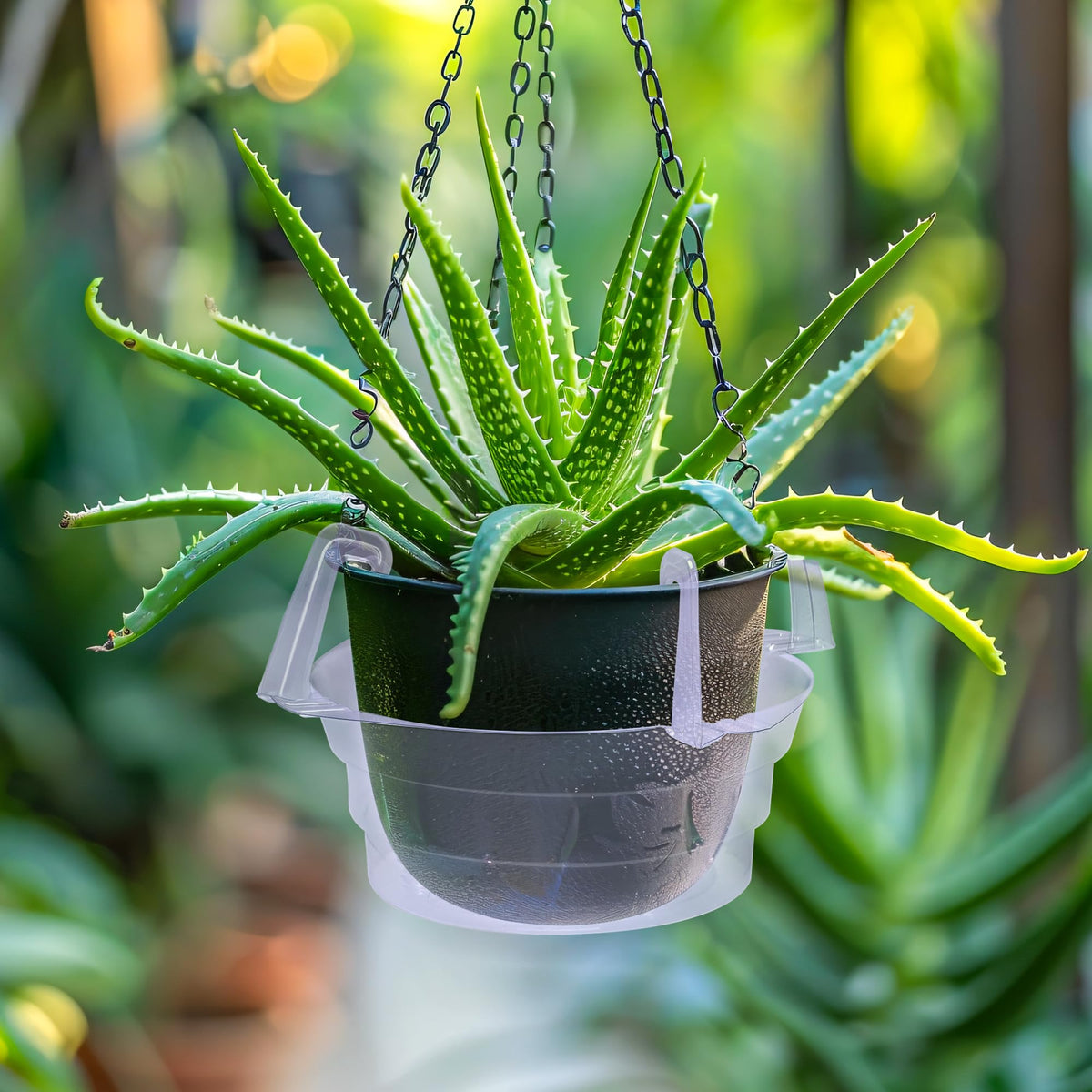 Adnee 12in top diameter tray fits 11-12 inch pots.