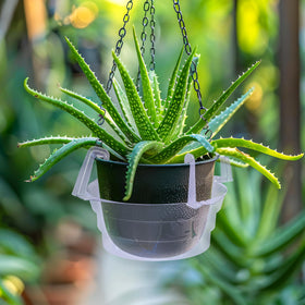 Adnee 15-pack hanging trays ideal for replacing or expanding gardens