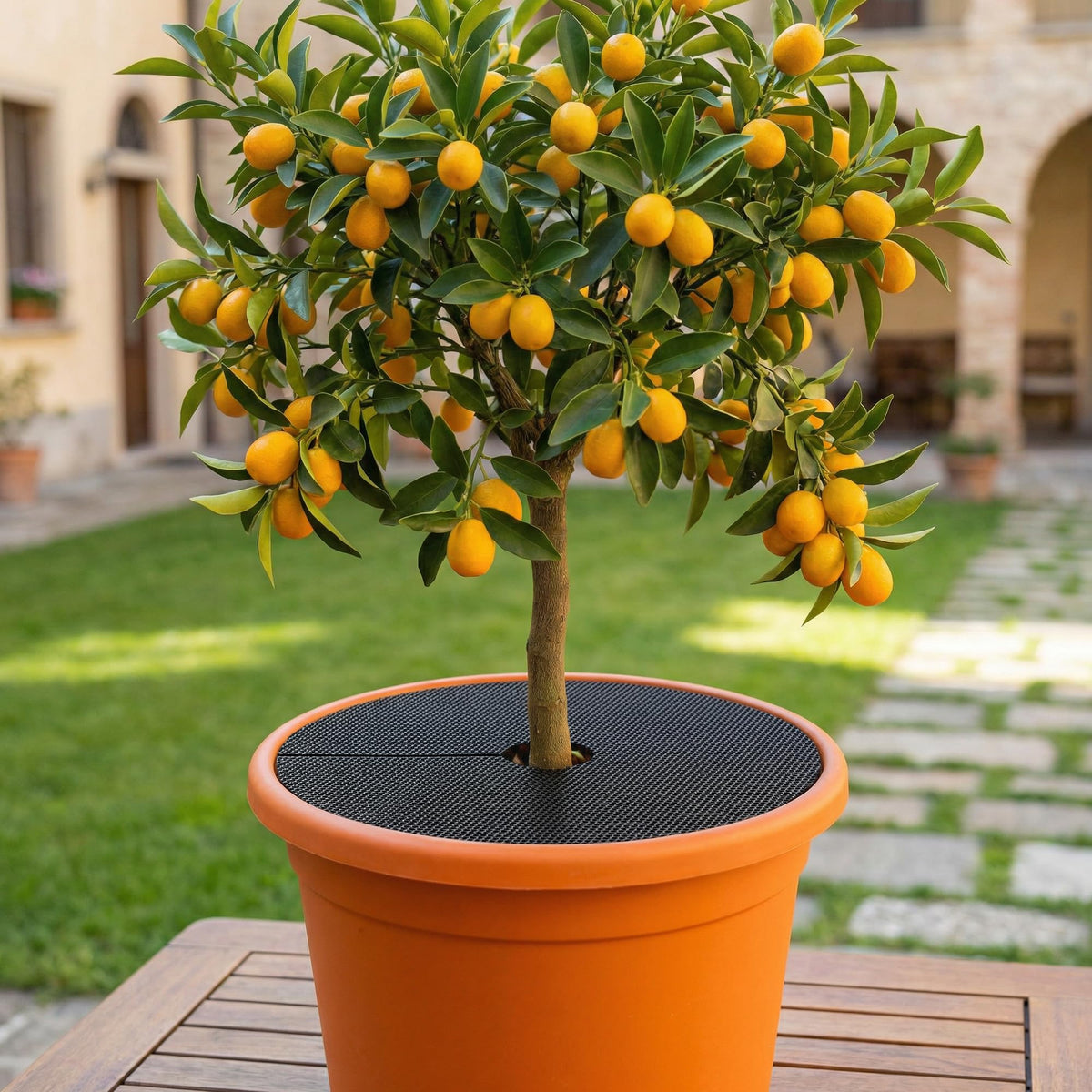 Adnee eight-piece round grid set covers multiple plants at once