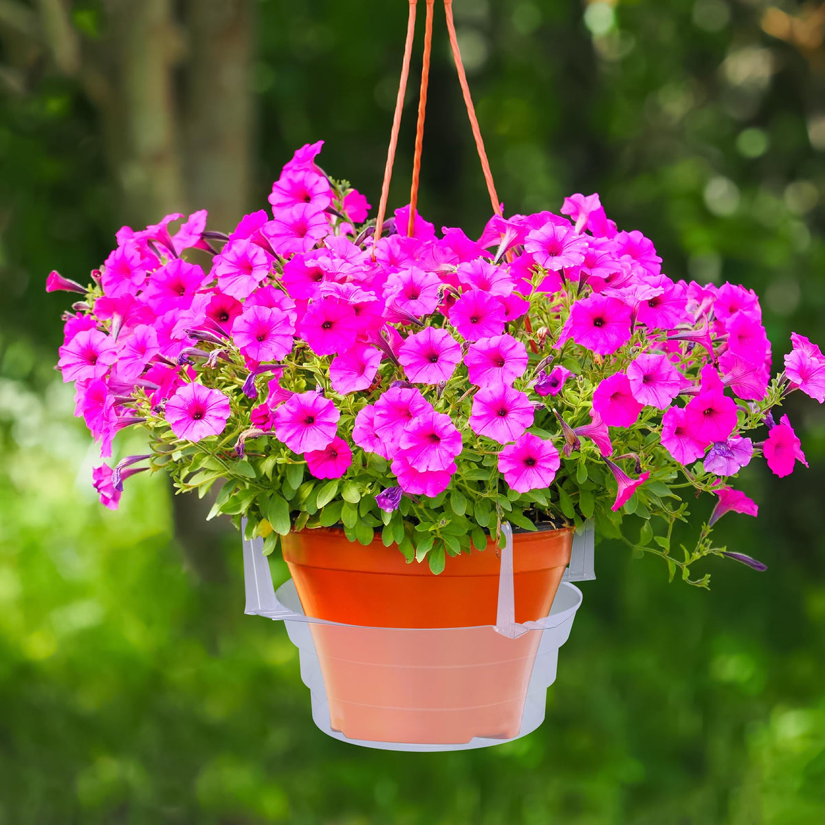 Adnee 8-inch top and 6-inch bottom tray fits 6-8 inch pots.